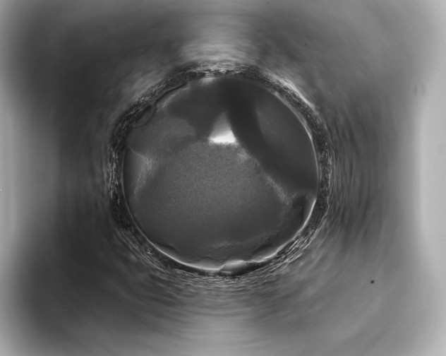 X0000094351399200711021424