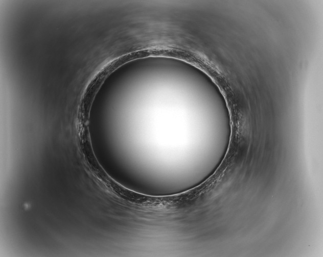X0000094351400200711021424