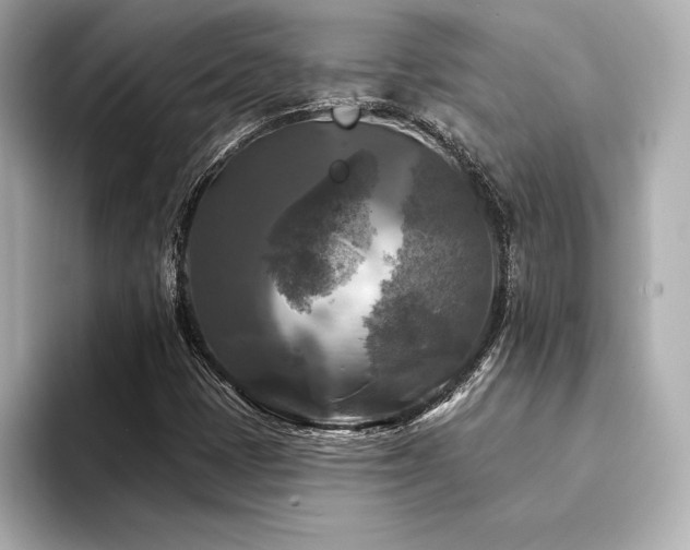 X0000094351401200711021424