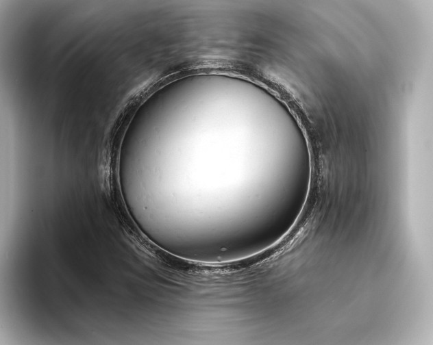 X0000094351403200711021424
