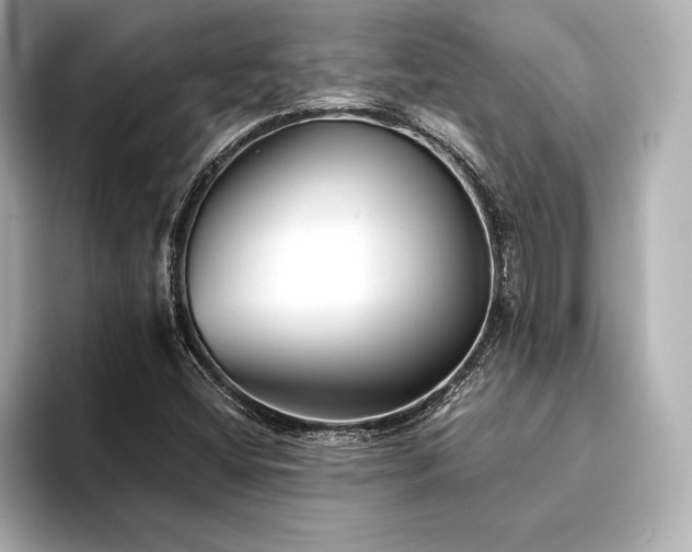 X0000094351404200711021424