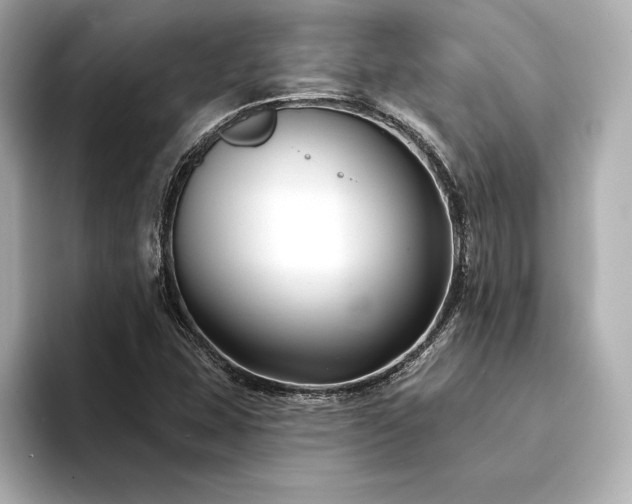 X0000094351407200711021424