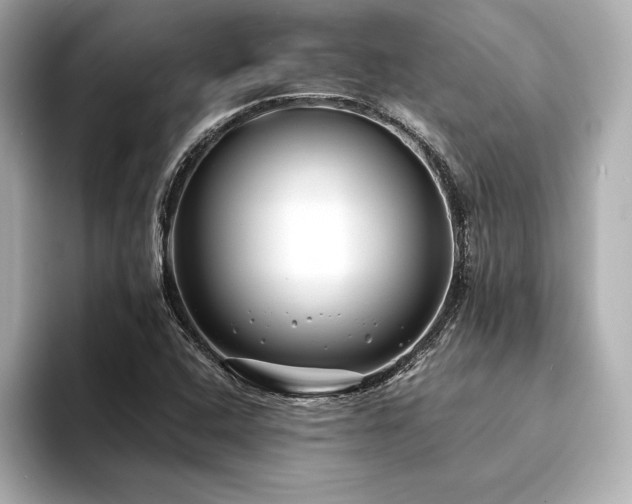 X0000094351408200711021424