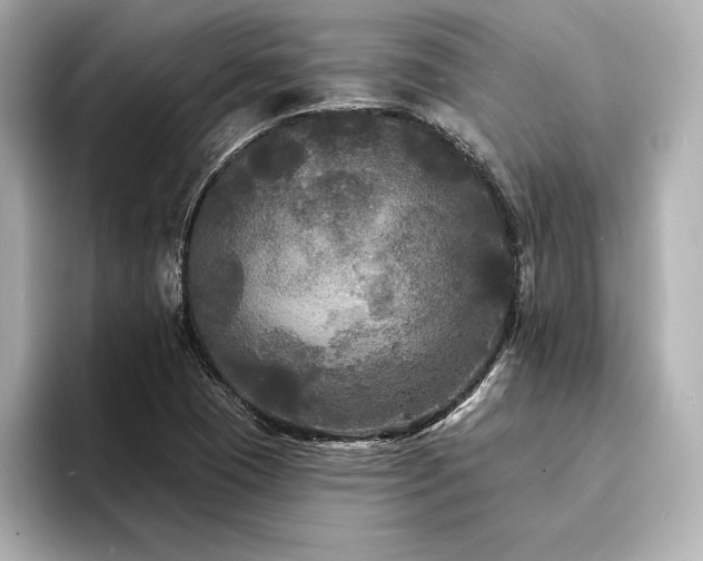 X0000094351409200711021424