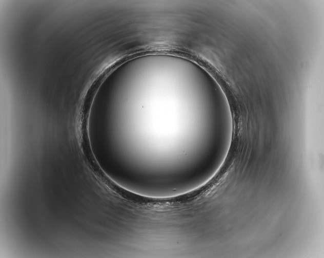 X0000094351410200711021424