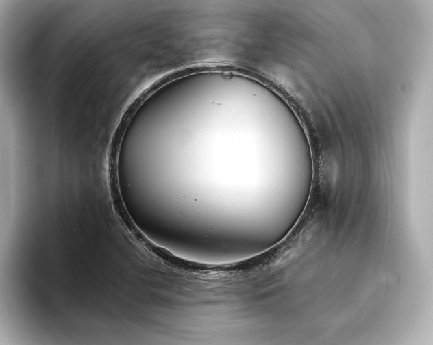 X0000094351412200711021424