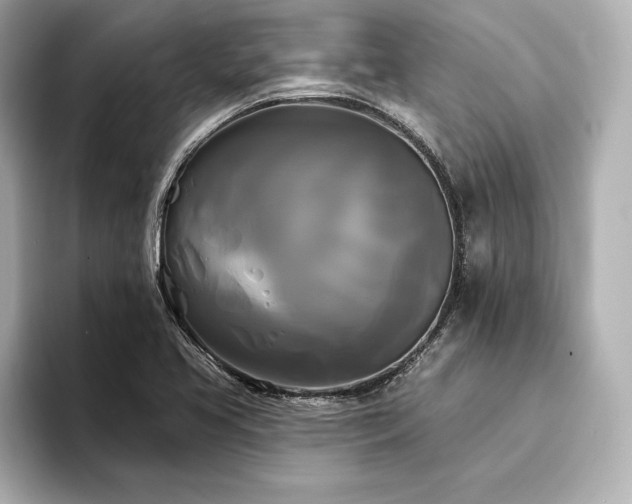X0000094351413200711021424