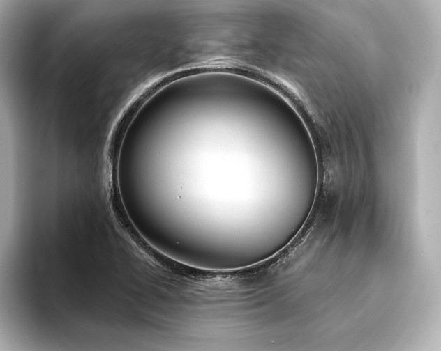 X0000094351414200711021424