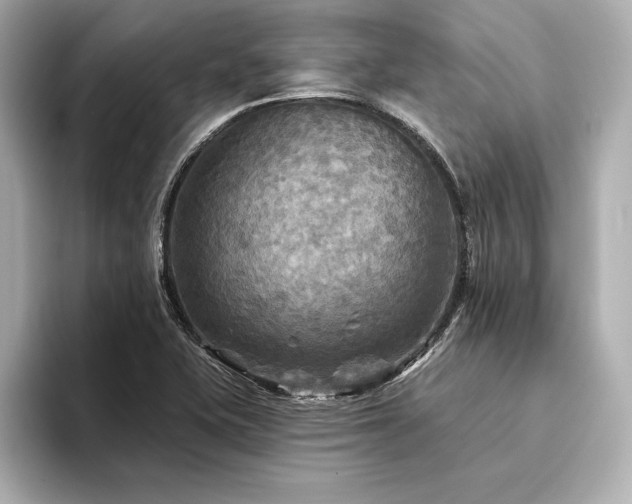 X0000094351415200711021424