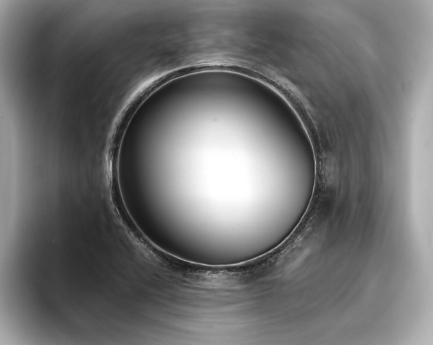 X0000094351416200711021424