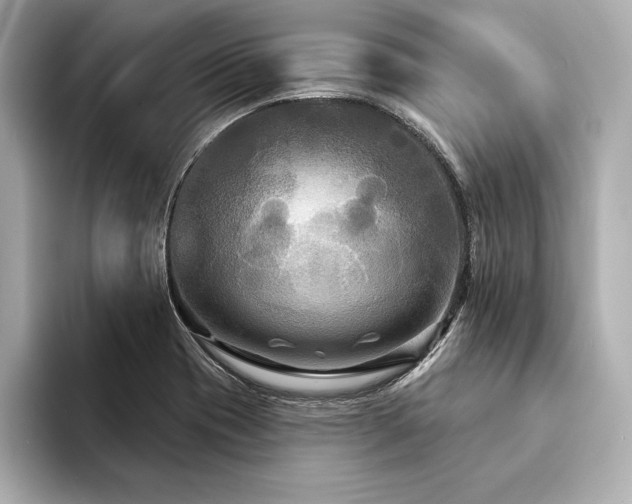 X0000094351417200711021424