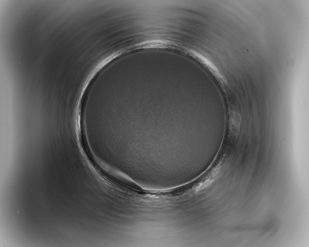 X0000094351418200711021424