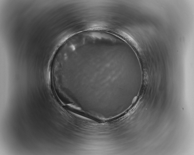 X0000094351419200711021424