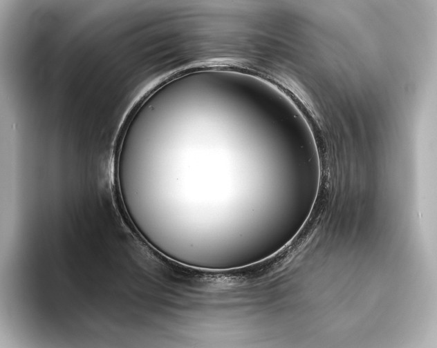 X0000094351420200711021424