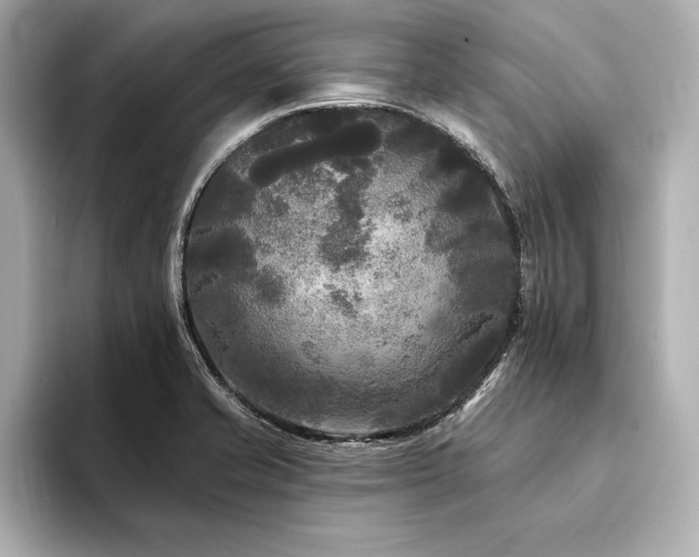 X0000094351421200711021424