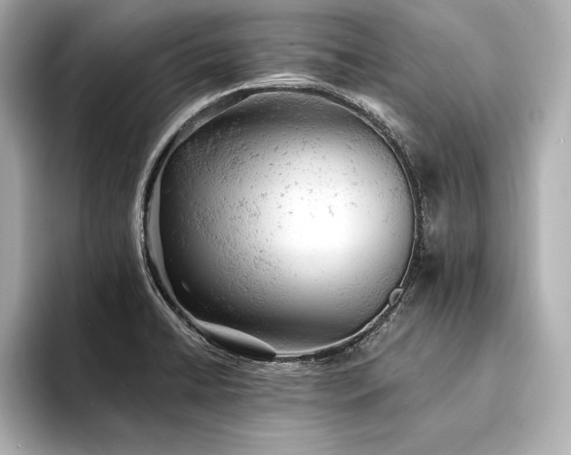 X0000094351422200711021424