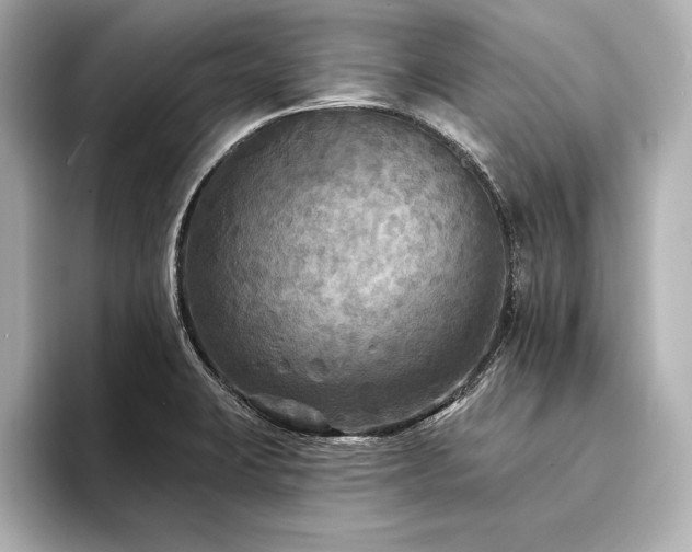 X0000094351423200711021424