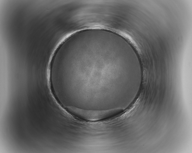 X0000094351424200711021424