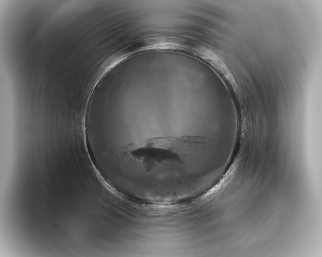 X0000094351425200711021424