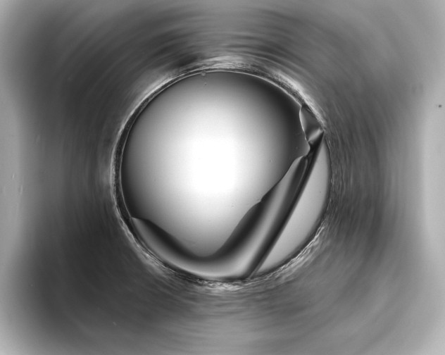 X0000094351426200711021425