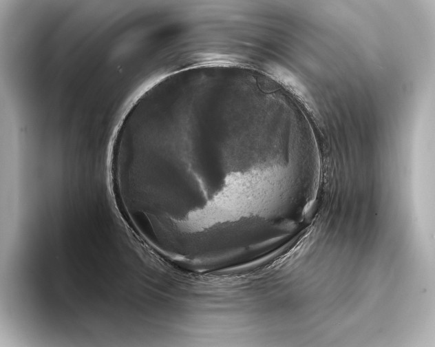 X0000094351427200711021425