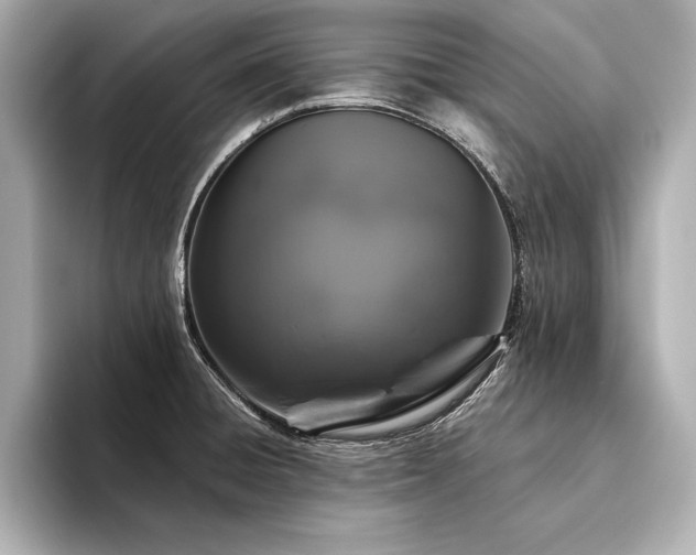 X0000094351428200711021425