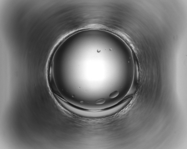 X0000094351430200711021425