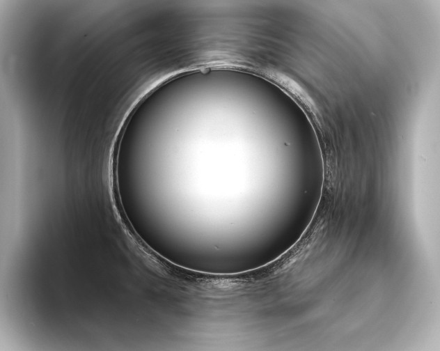 X0000094351431200711021425