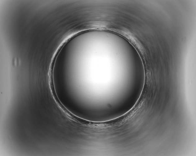 X0000094351432200711021425
