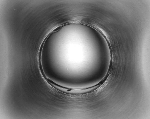 X0000094351434200711021425