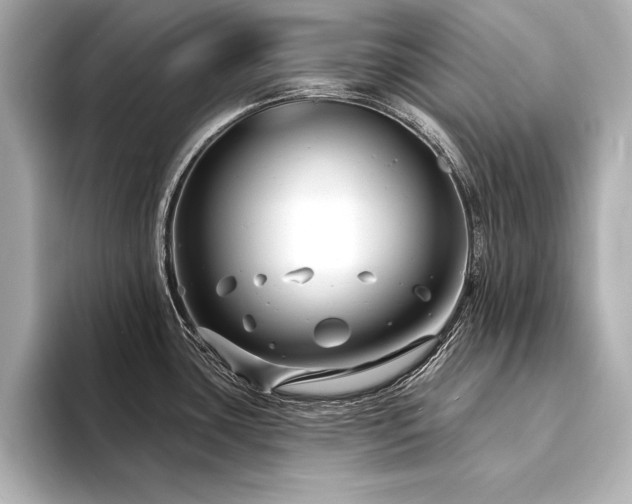X0000094351435200711021425