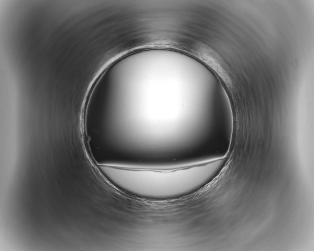 X0000094351436200711021425