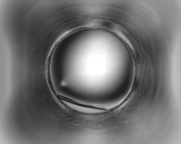 X0000094351437200711021425