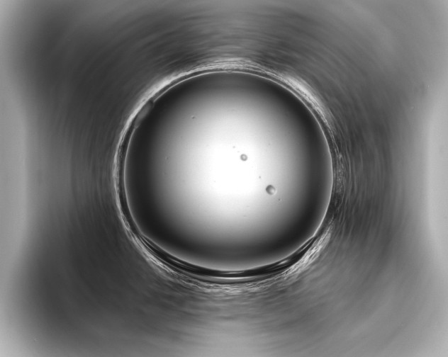 X0000094351438200711021425
