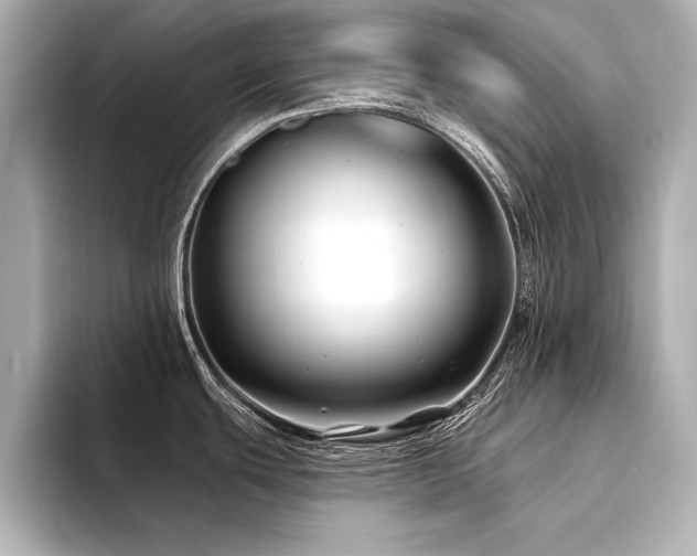 X0000094351439200711021425
