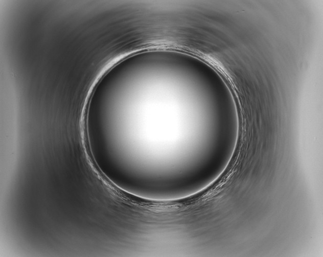 X0000094351440200711021425