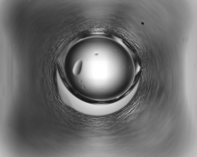 X0000094351441200711021424