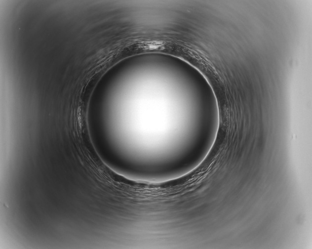 X0000094351442200711021424