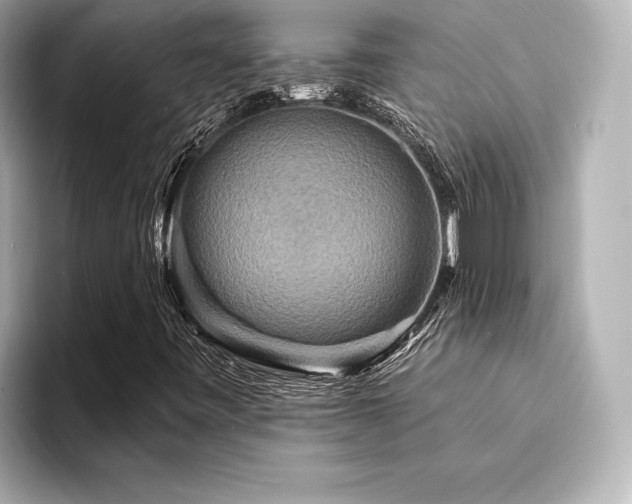 X0000094351443200711021424