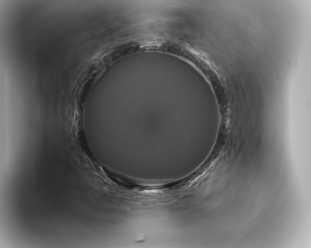 X0000094351445200711021424