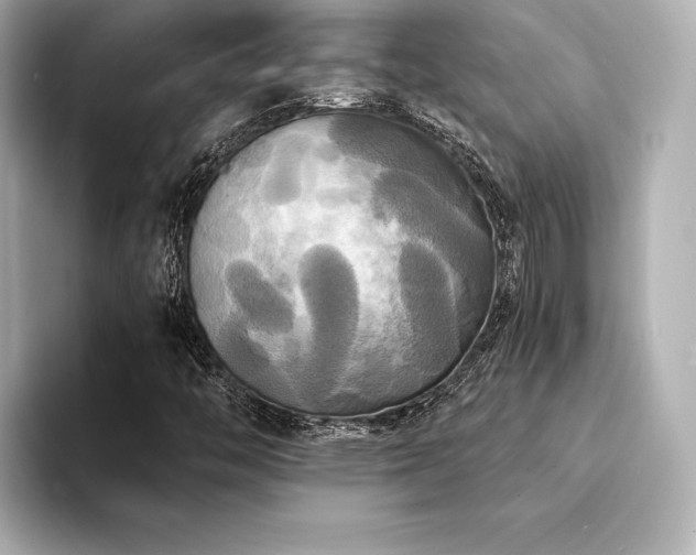 X0000094351446200711021424