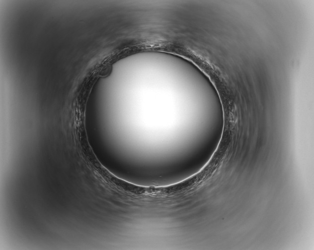 X0000094351447200711021424