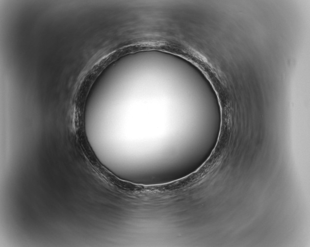 X0000094351448200711021424