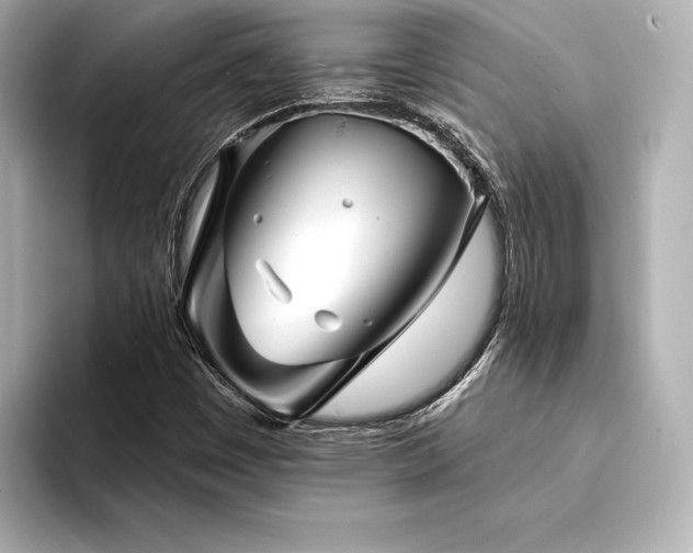 X0000094351449200711021424