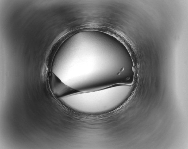 X0000094351450200711021424