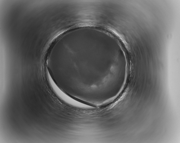 X0000094351453200711021424