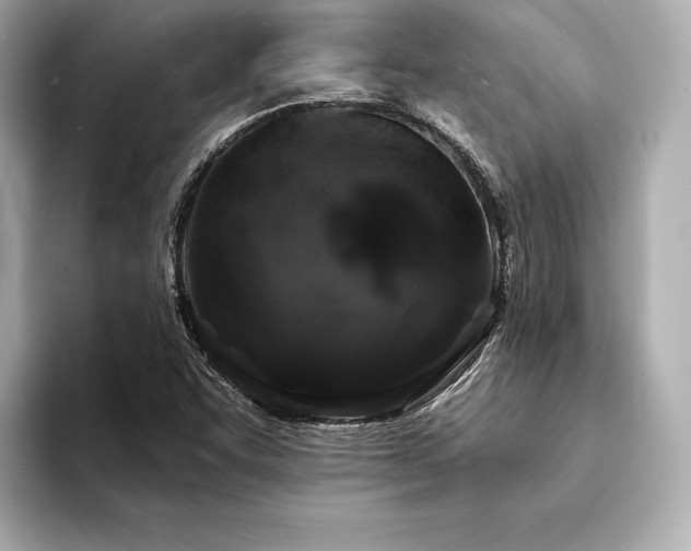 X0000094351455200711021424
