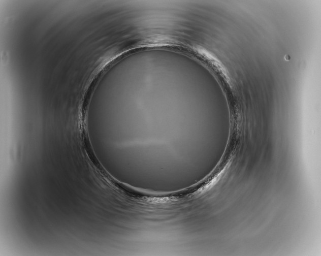 X0000094351457200711021424