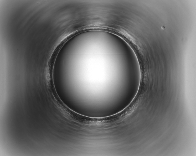 X0000094351458200711021424
