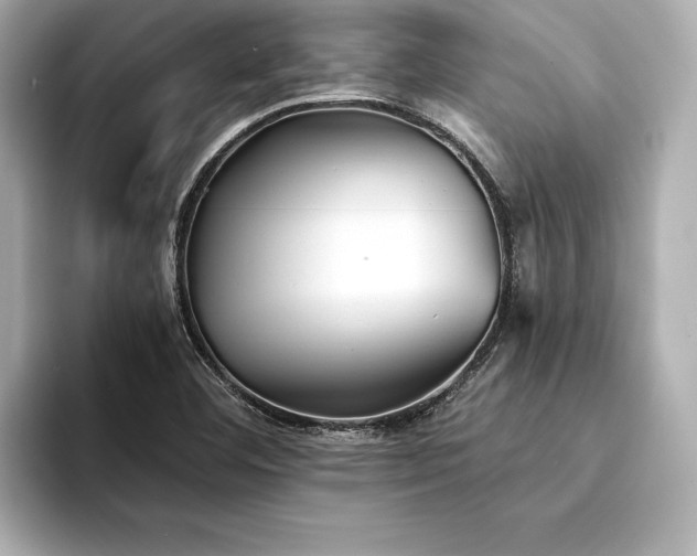 X0000094351460200711021424